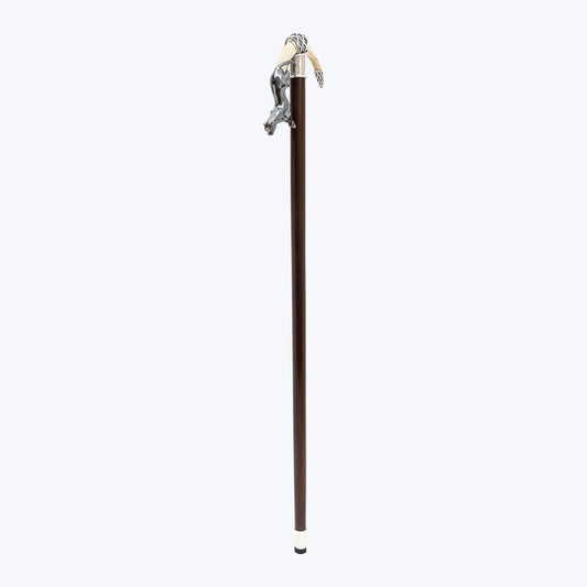 Leaping Jaguar Cane